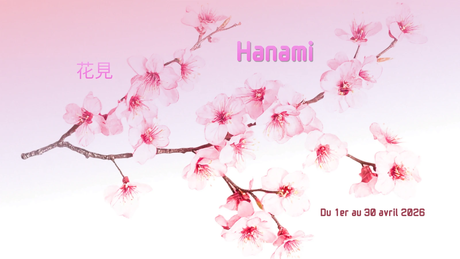 C'est le printemps. Dans la culture japonaise, on fête l'Hanami avec de délicieuses spécialités.