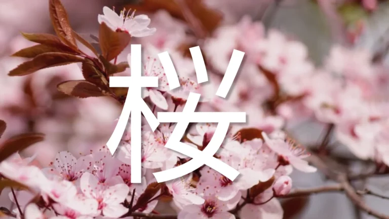 Découvrez les secrets du Kanji Sakura