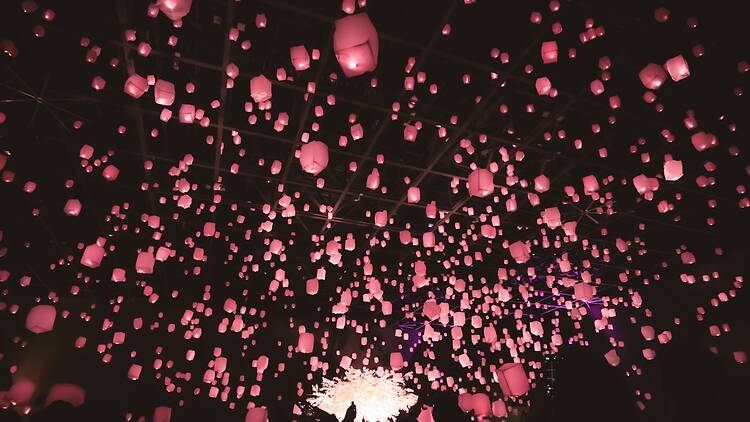 Cette année à Tokyo. Hanami 2026.