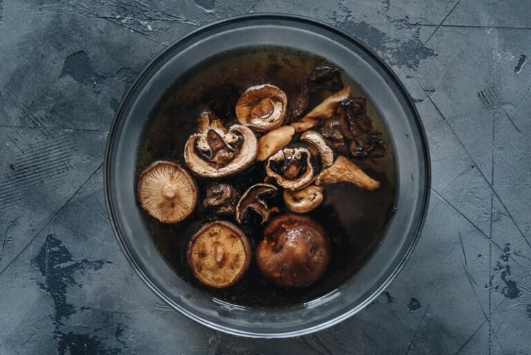 Dashi, bouillon de base de la cuisine japonaise - servi en bol